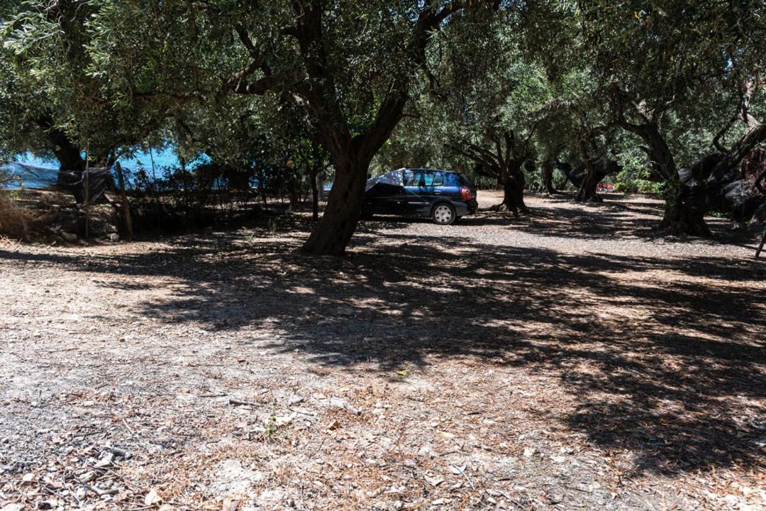 Olive Tree Villa ليغيا المظهر الخارجي الصورة