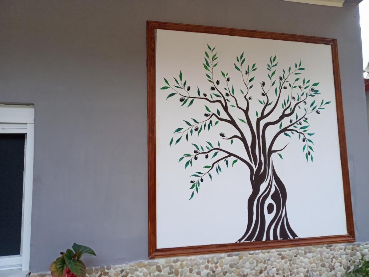 Olive Tree Villa ليغيا المظهر الخارجي الصورة